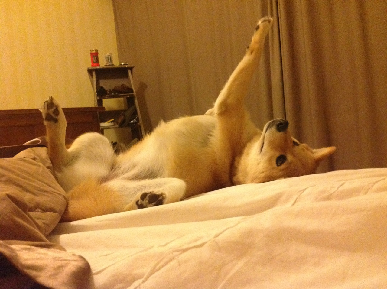 摩纳哥的意志，巴雷拉在F1新赛季揭幕战中强行终结智利悬念