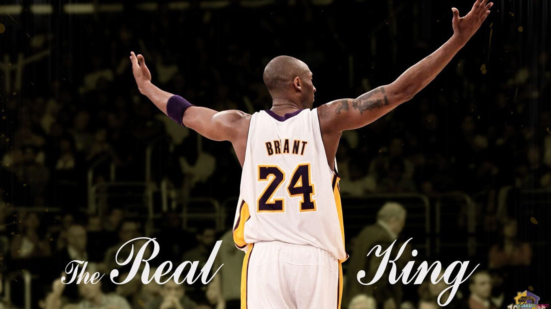 唯一之夜，德国战车碾过高卢雄鸡，马龙之火燃爆柏林苍穹